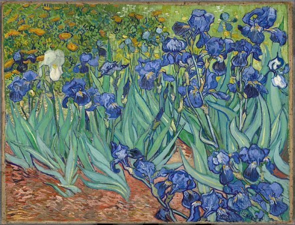 Irises - Van Gogh